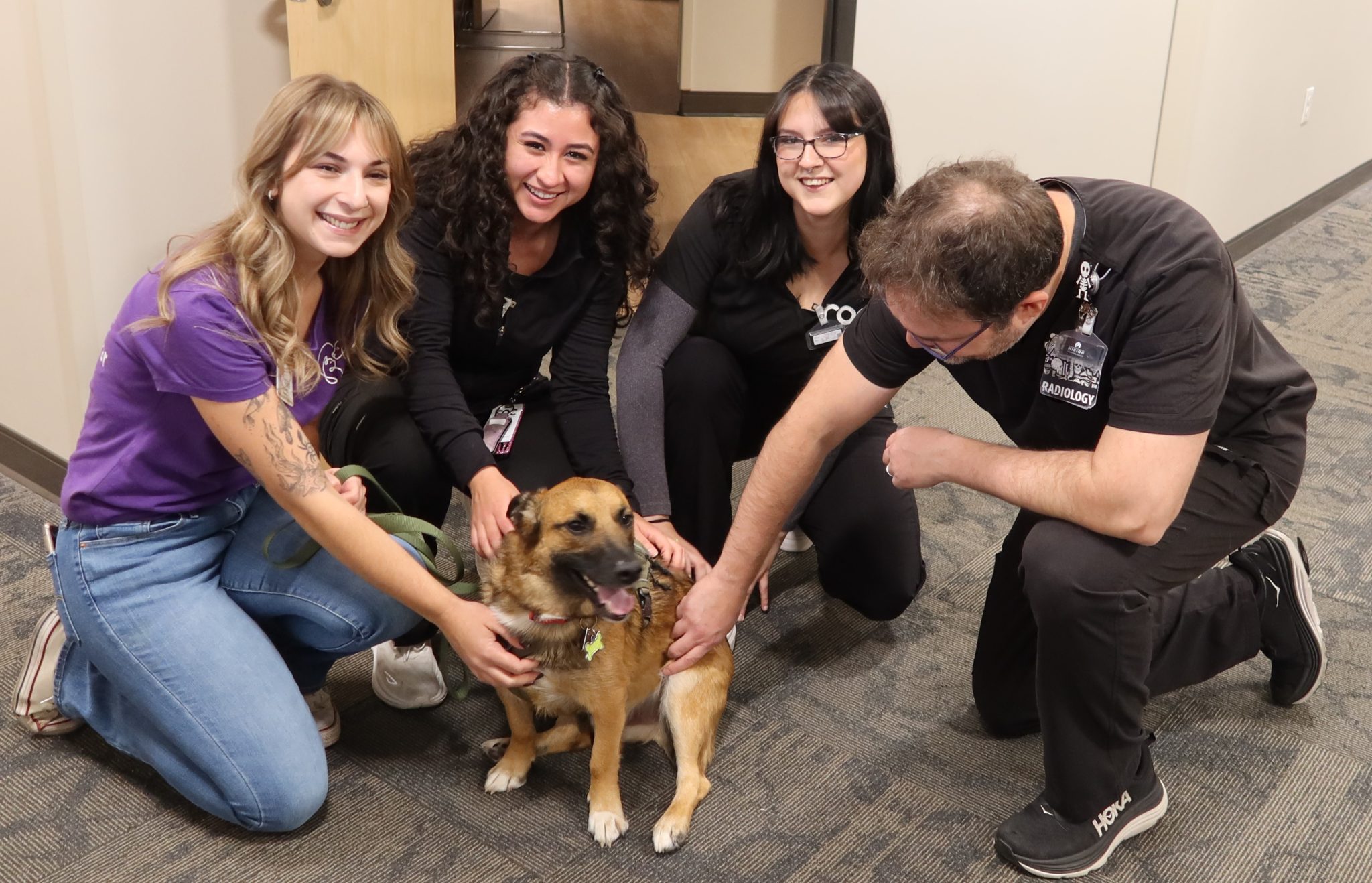 The Roc Reno Nv ROC - October SPCA Partner of the Month🐾 - Reno Orthopedic Center